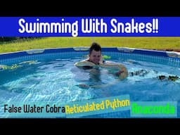 Swimming With Snakes!!