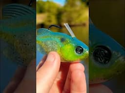 This Lure Is Very UNIQUE…