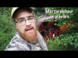 Martin pêcheur dans une gravière