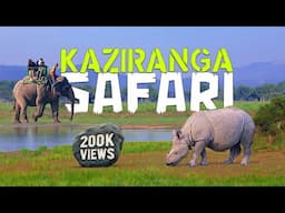 Kaziranga National Park SAFARI Like You've Never Seen Before!  - 4K Video Hindi | हिन्दी