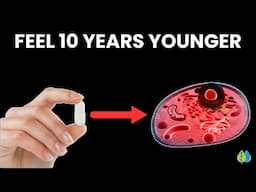 10 Nutrients to Fix Your Mitochondria & Feel 10 Years Younger