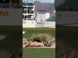 The ups and downs of the 16th hole at the WMPO. #TaylorMade #shorts