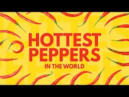 20 HOTTEST PEPPERS in the World