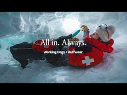 All in. Always. | Our Partnership With Avalanche Rescue Dogs