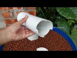 Aquaponic barrel system .