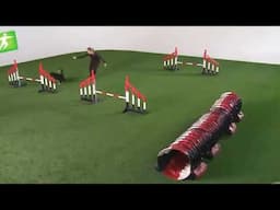 Dog agility - Different kinds of threadles