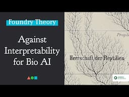 FT048 - Against Interpretability for Bio AI