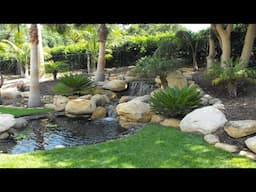 BEAUTIFUL SMALL FISH POND DESIGN IDEAS | HOW TO CREATE STUNNING MINI KOI FISH POND FOR BACKYARD