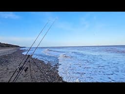 A day fishing the Holderness and Humber