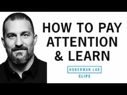 How to Pay Attention & Learn Quickly | Dr. Andrew Huberman