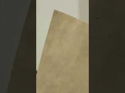 paper from leaves