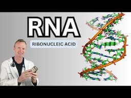 RNA: Rapid Healing, Cold hands & Feet, Memory Problems, Brain Fog, Longevity, Anti-Aging | RNA #148