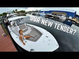 We Disagree!😳 Tender Shopping: 2024 Sea Hunt Gamefish 28