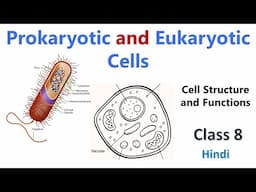 Prokaryotic & Eukaryotic Cells | Cell - Structure and Functions | Class 8 Science Chapter | Biology