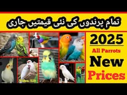 All Birds Latest Prices 2025 (Budgies, Love Birds, Cocktail, Finch) Detail in Urdu / Hindi Video.528