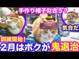 2025ｰ1−12 保護猫たちの「ほっこり猫ライブ」ハッチ＆マック＋黒猫めめ＋がんサバイバーママ Cat live Stream in Japan -Cat Life TV