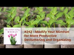 Modify Your Mindset for More Productive Decluttering and Organizing - The Clutter Fairy Weekly #242