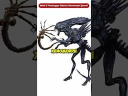 What if a Facehugger Attacks Xenomorph Queen? #Shorts #Viral