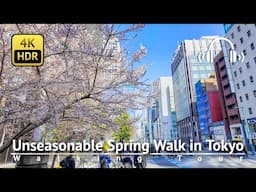 Cherry Blossoms Already?! Unseasonable Tokyo Spring Walk [4K/HDR/Binaural]