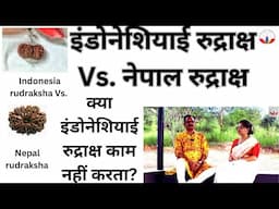 Indonesia rudraksha I Indonesia rudraksha Vs Nepal rudraksha