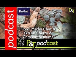 Chelsea Flower Show Floral Judge, Urgent Garden Jobs for This Week & Cherry & Chrysanthemums Answers