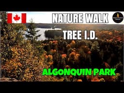 NATURE WALK TREE IDENTIFICATION - EP. 5 - ALGONQUIN PARK, ONTARIO