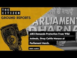 AIKS Demands Protection From Wild Animals, Stray Cattle Menace at Parliament March