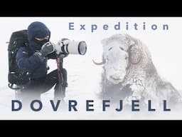 5 Day Solo Winter Expedition  ⎸ Wildlife Photography on Dovrefjell