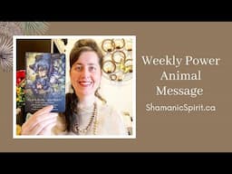 Jan 4-10, 2025: Weekly Power Animal Message And Crystal Healing Talisman. Bear symbolism