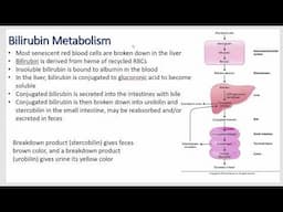 Gastrointestinal Physiology - Liver Function, Lipoproteins, Good and Bad Cholesterol, and the Colon.