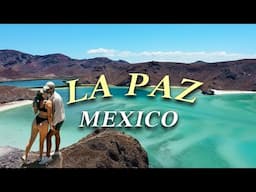 Things to do in La Paz | Baja Mexico Travel Guide