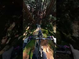 Not AI Mountain Biking just Absolutely Insane.