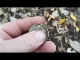 Minelab Vanquish 540 Metal Detecting - Two Silver Coins