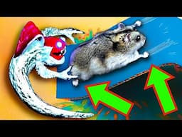 🐹🔥 EVIL Hamster Maze with Traps 😱[OBSTACLE COURSE]😱