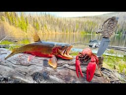 SOLO Mountain Crawfish & Trout Fishing!!! (Catch & Cook)