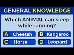 How Good Is Your General Knowledge? Take This 30-question Quiz To Find Out! #challenge 105