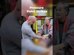 Okinawan Karate Pressure Point Strikes