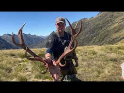 Remote Red Stags - 4 Day New Zealand Mountain Hunt