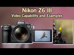 Nikon Z6 III for Video