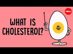 What actually causes high cholesterol? - Hei Man Chan