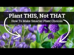 Plant THIS, Not THAT: How To Make Smarter Plant Choices