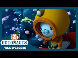 @Octonauts - 🌊 The Sea Pigs 🐷 | Season 3 | Full Episodes | Cartoons for Kids