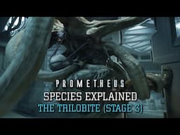 The Trilobite (Heptopus Tabellarium) XX033 Stage 1-3 - Alien Species Explained