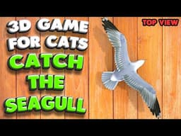 3D game for cats | Catch the SEAGULL (top view) | 4K, 60 fps, stereo sound