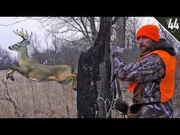 HUNTING PRESSURE - Do Deer Return to Normal Patterns after encountering HUNTERS?