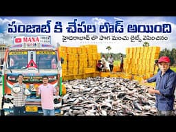 పంజాబ్ కి చేపల లొడ్ అయింది🚛 హైదరాబాద్ లొ పొగ మంచు లైట్స్ వెపించినం💡