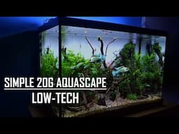 20 GALLON AQUASCAPE TUTORIAL | Easy, simple aquarium