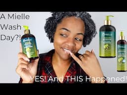 Chile, I Tried MIELLE On My Hair...in 2024?!!! : My Raw, Honest Experience