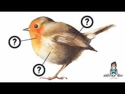 3 Must-Try Watercolor Techniques for Beginners! (Paint a Robin Bird)