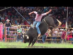 ''LOS NUMERO UNO'' DE HUANDACAREO LOS TOROS DIVINOS 2015 EN EL CARMEN MICH.